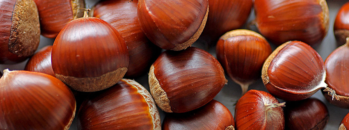 笠間の栗しごと