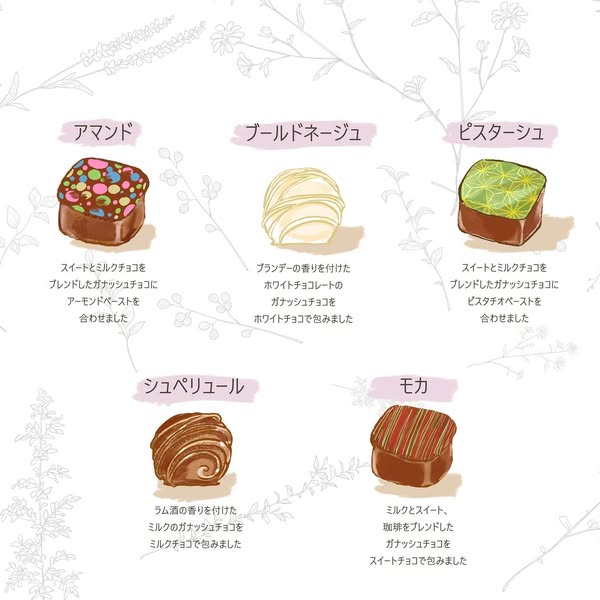 トリュフのご紹介